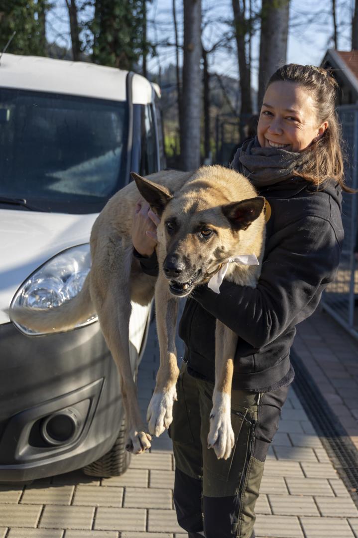Hannah Wendt, Leiterin Sonnenhof, mit einem der Hunde aus Odessa