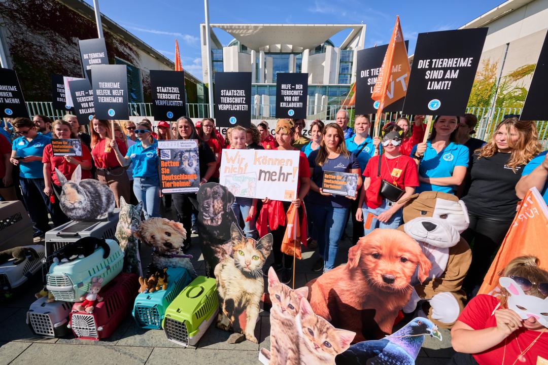 Deutscher Tierschutzbund protestiert vor Kanzleramt