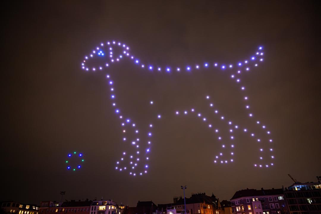 Silvesterfeuerwerk: Böllerverbot statt verängstigte Tiere