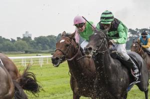 Deutscher Tierschutzbund nimmt Galopprennsport unter die Lupe